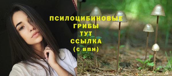 ALPHA PVP Абинск