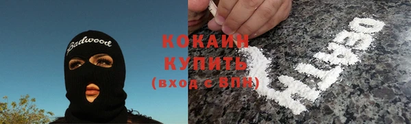 стафф Алзамай