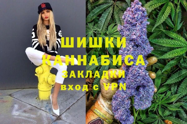 стафф Алзамай