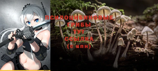 ALPHA PVP Абинск